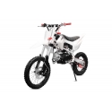 Dirt Bike Thunder 125cc V2 17-4" manuelle
