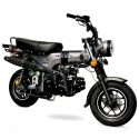 DAX 125cc Homologable Motorcycle