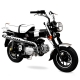 DAX 125cc Moto Homologable