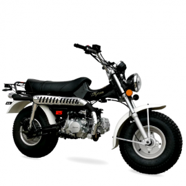 T-REX 125cc Motorcycle Homologation
