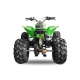 Grizzly 8" 125cc