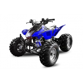 Grizzly 3G8 125cc
