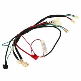 Electrical harness - With starter